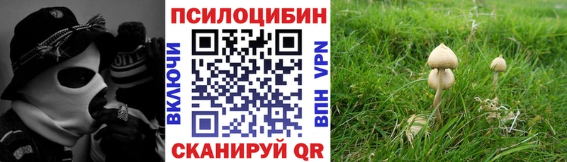 Псилоцибиновые грибы Psilocybine cubensis  Купить где  Трубчевск 